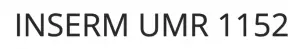 INSERM UMR 1152
